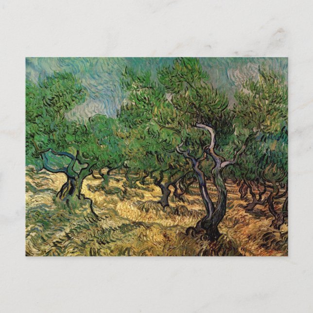 Olive Grove von Vincent van Gogh Postkarte (Vorderseite)