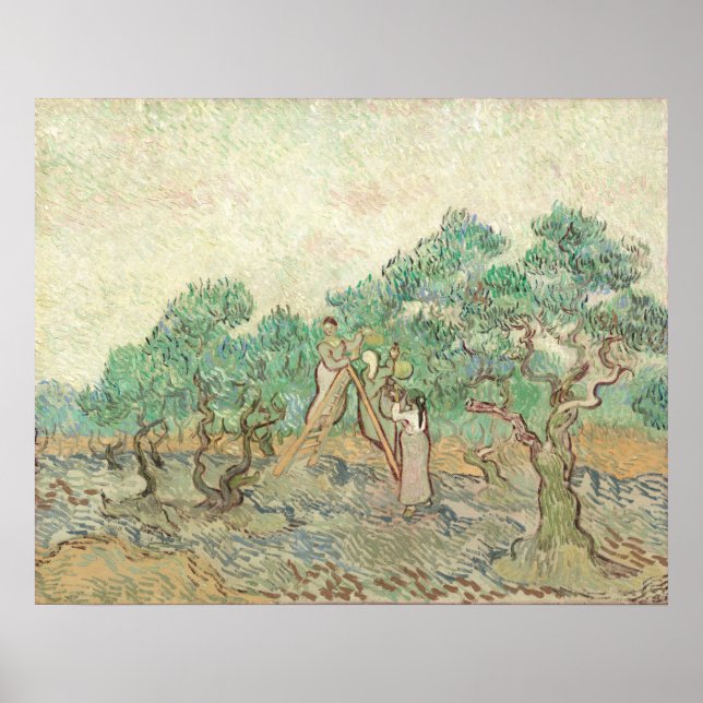 Olive Orchard - Vincent van Gogh Kunstgewerbe Poster (Vorne)