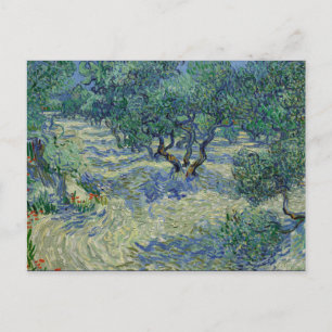 Olive Orchard von van Gogh Postkarte