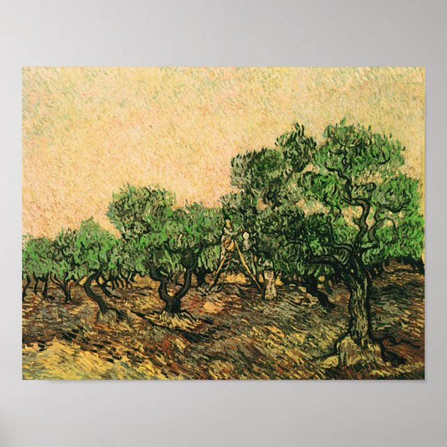 Olive Picking Van Gogh Fine Art Poster (Vorne)