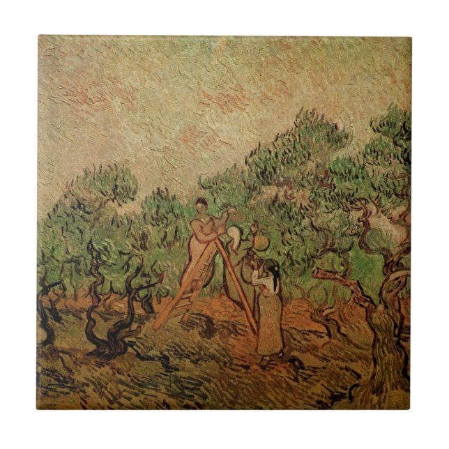 Olive Picking von Vincent van Gogh Fliese (Vorderseite)