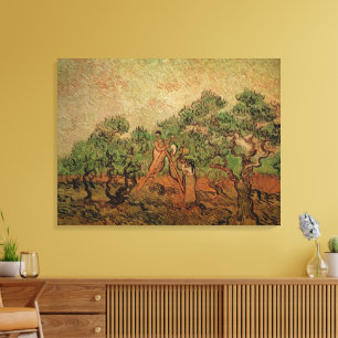 Olive Picking von Vincent van Gogh Leinwanddruck