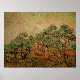 Olive Picking von Vincent van Gogh Poster