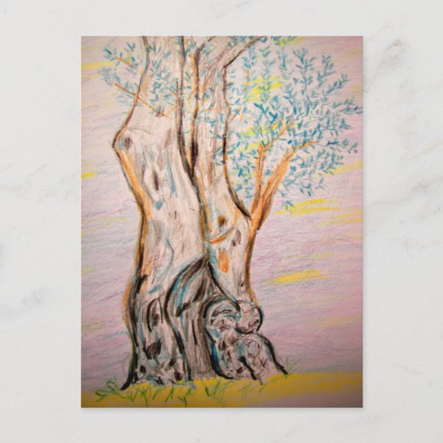 Olive Tree Peace Postkarte (Vorderseite)