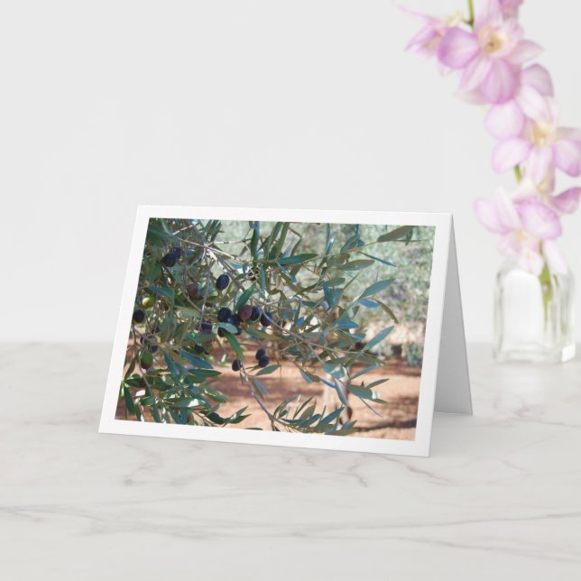 Olive Tree Portrait Karte (Orchidee)