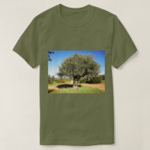 Olive Tree