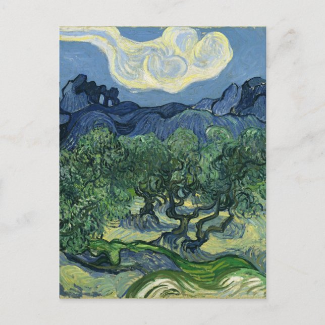 Olive Trees by Van Gogh Postkarte (Vorderseite)