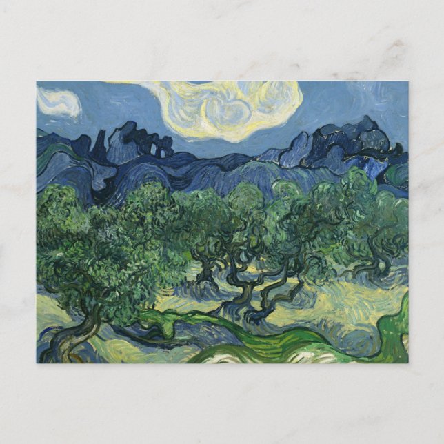 Olive Trees by Van Gogh Postkarte (Vorderseite)