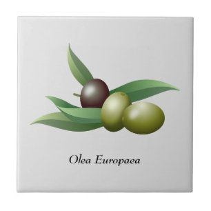 Oliven Grün Blätter Fliese