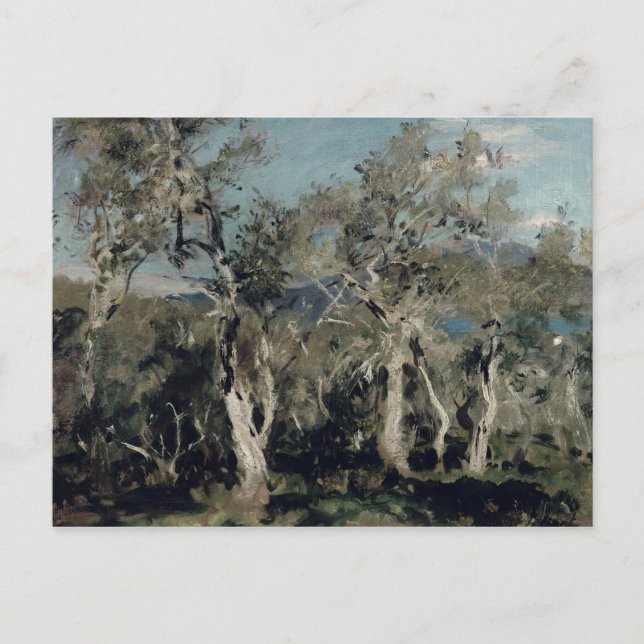 Oliven, Korfu, 1912 Postkarte (Vorderseite)