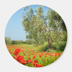Olivenbaum im runden Magneten des Mohnblumenfeldes Magnet