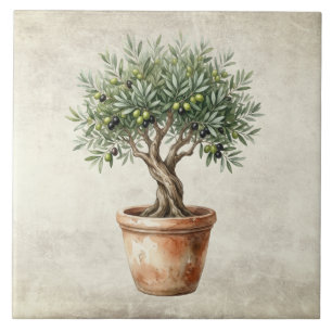Olivenbaum-Topiary Mittelmeer-Aquarelle rustikal  Fliese