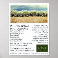 Olivenbäume, Fotografie, Fotografie, Vermietung vo