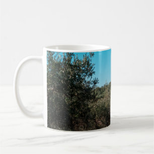 Olivenbäume in der apulischen Landschaft im Herbst Kaffeetasse
