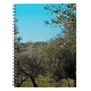 Olivenbäume in der apulischen Landschaft im Herbst Notizblock