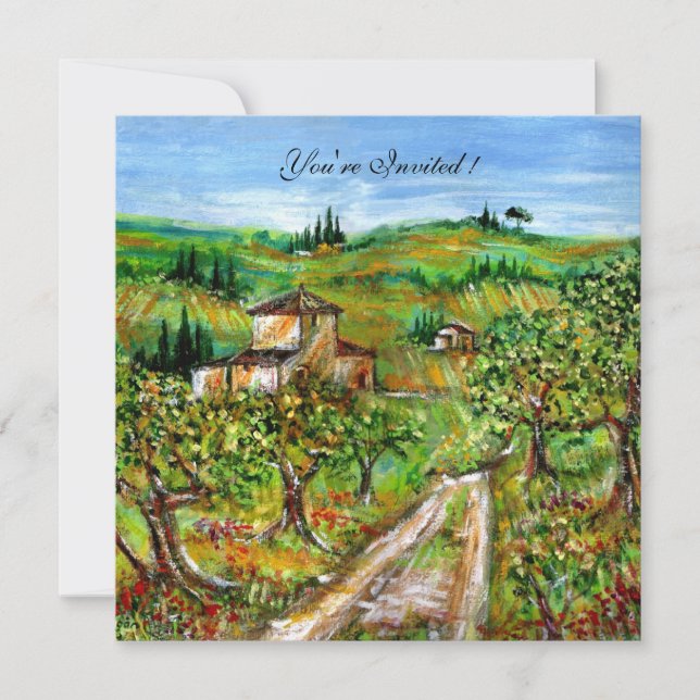 OLIVENBÄUME IN DER Toskana, gelb, weiß Einladung (Vorderseite)