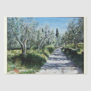 OLIVENBÄUME IN RIMAGGIO SEIDENPAPIER