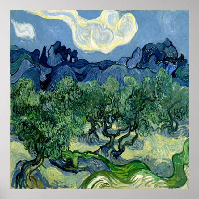 Olivenbäume von Vincent van Gogh Poster (Vorne)