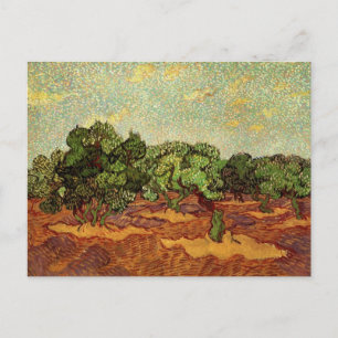 Olivenhain, blauer Himmel von Vincent van Gogh Postkarte