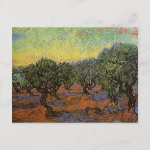 Olivenhain mit orangem Himmel, Vincent van Gogh Postkarte