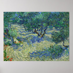 Olivenhain, Vincent van Gogh   Poster