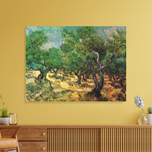 Olivenhain von Vincent van Gogh Leinwanddruck