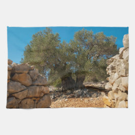 Olivenhaine Geschirrtuch