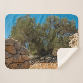 Olivenhaine Sherpadecke