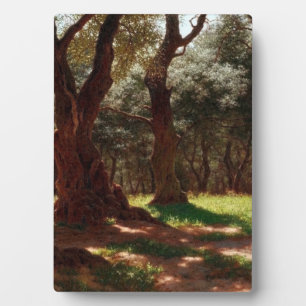 Olivenwald in Cap Saint Martin Fotoplatte