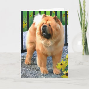 OLIVER heARTdog Chow-Chow Karten