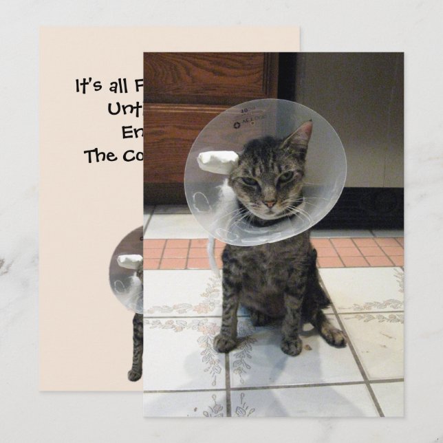 Oliver The Cats Cone of Shame Flat Get Well Card Karte (Vorne/Hinten)