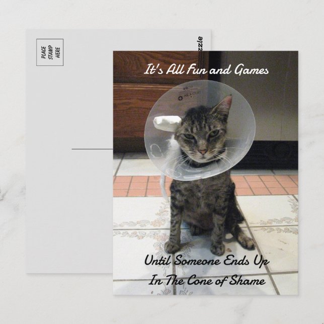 Oliver The Cats Cone of Shame Postkarte (Vorne/Hinten)
