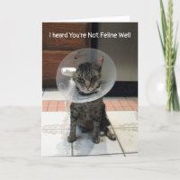 Oliver's not feline well - Cat Get Well Card