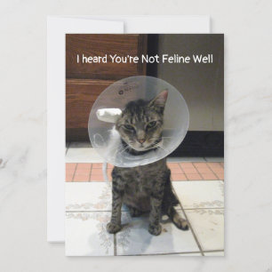 Oliver's Not Feline Well - Cat Get Well Flat Card Karte