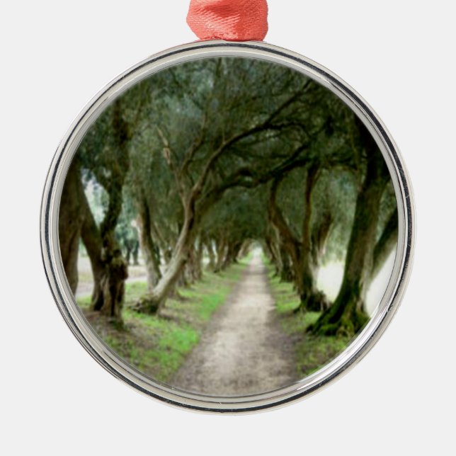 Olivgrüne Garten-Verzierung Silbernes Ornament (Vorne)