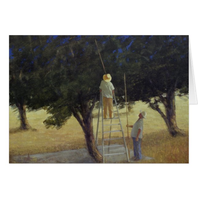 Olivgrüne Pflücker 1985 (Vorderseite (Horizontal))