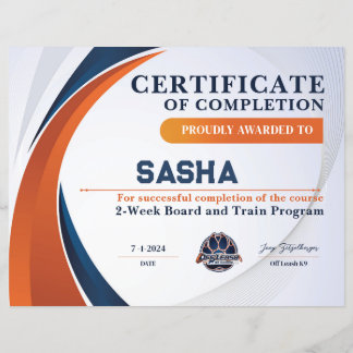 OLK9-Zertifikat Nr. 6