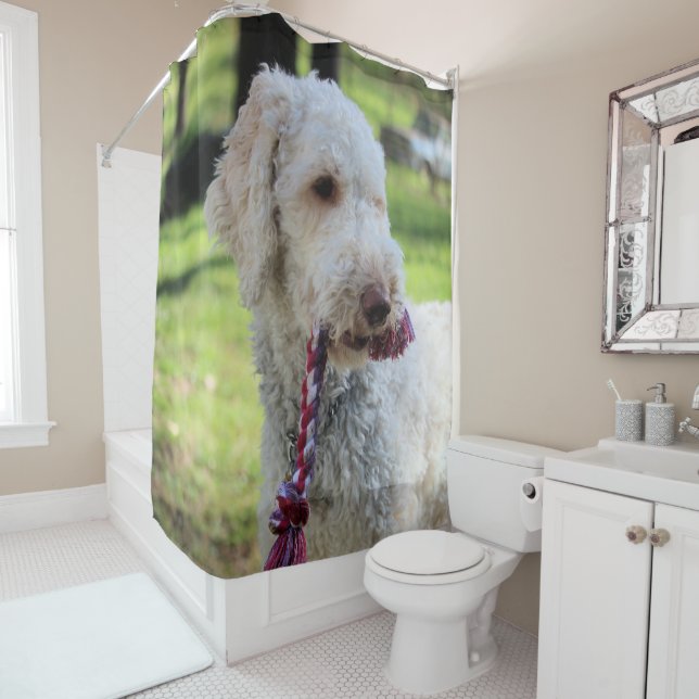 Ollie Duschvorhang (Beispiel)