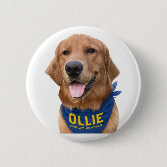 Ollie the Lucky Dog Foto Button Button (Vorderseite)