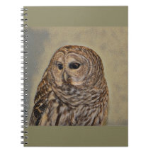 Ollie The Owl