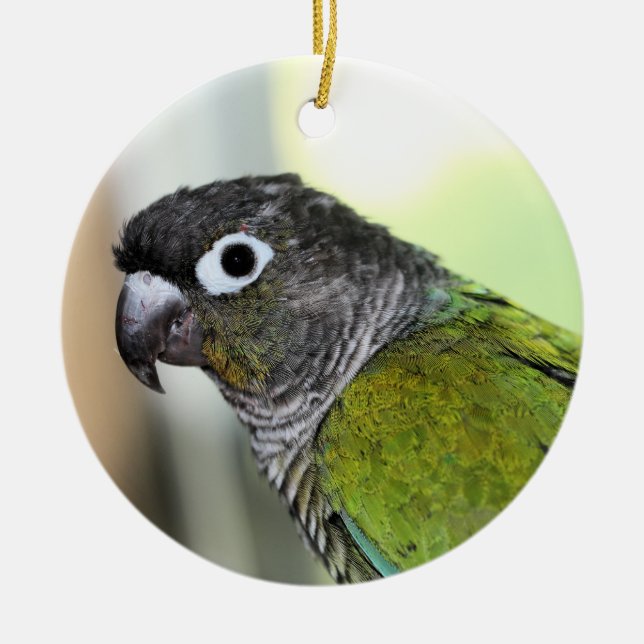 Ollie Wallie Keramik Ornament (Vorne)