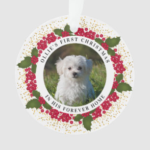 Ollie's erstes immerwährendes Weihnachtsschmuck Ornament