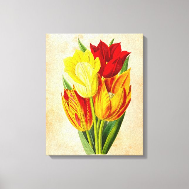 Ölmalerei auf Tulips Leinwanddruck (Vorderseite)