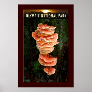 OLMPIC NATL PARK-Hühnchen aus Holz- Poster