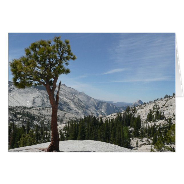 Olmsted Point I im Yosemite-Nationalpark (Vorderseite (Horizontal))