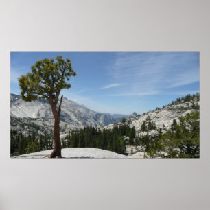 Olmsted Point I im Yosemite-Nationalpark Poster