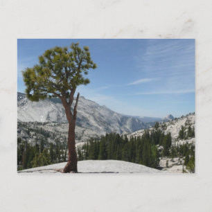 Olmsted Point I im Yosemite-Nationalpark Postkarte