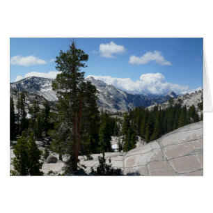 Olmsted Point III im Yosemite National Park