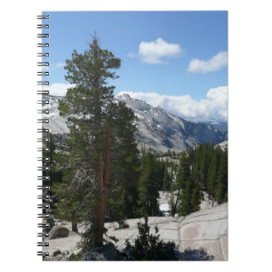 Olmsted Point III im Yosemite National Park Notizblock