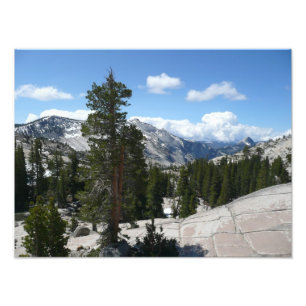 Olmsted Point III. Yosemite-Nationalpark Fotodruck